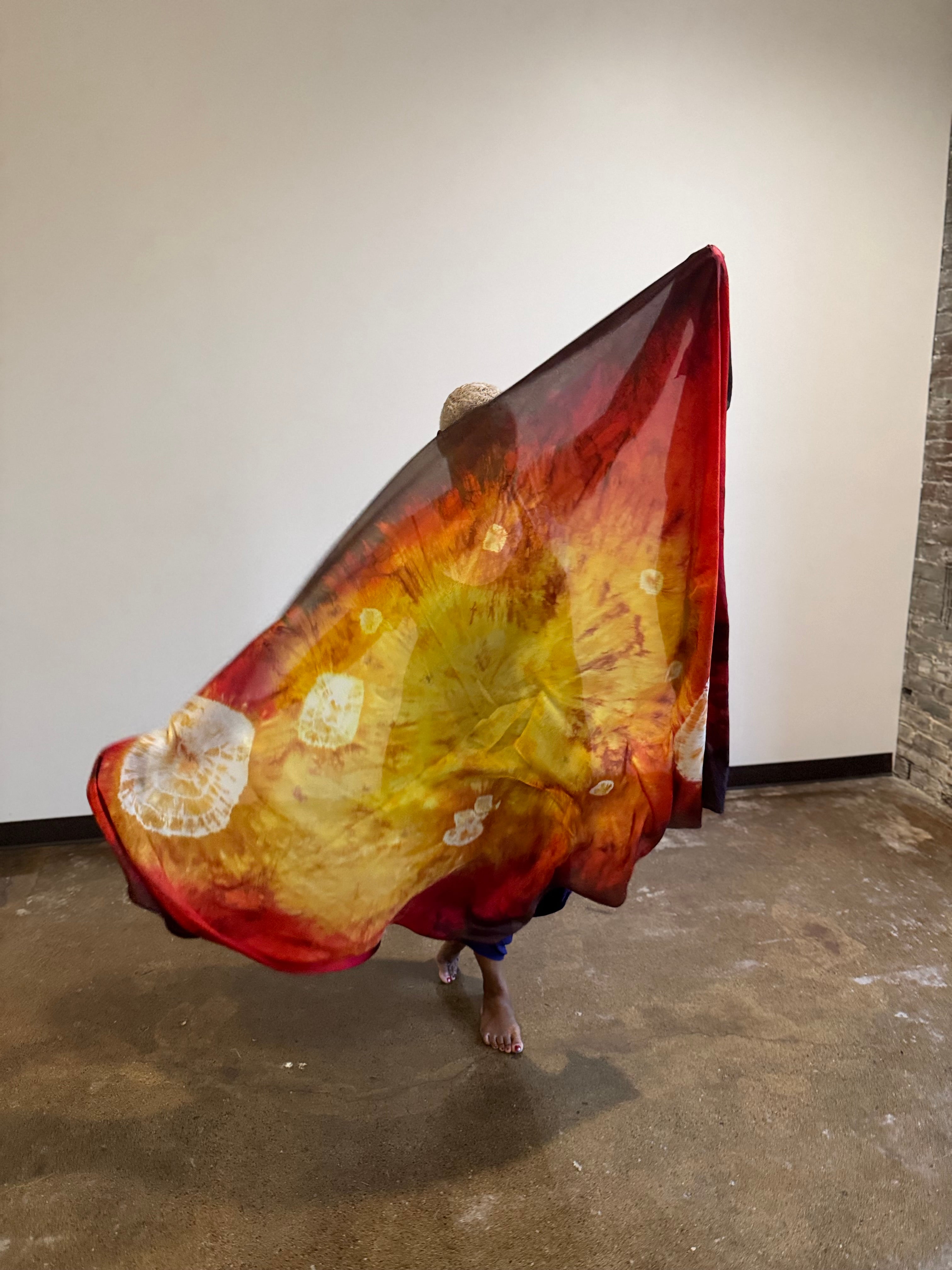 “Purfying the Prophetic”