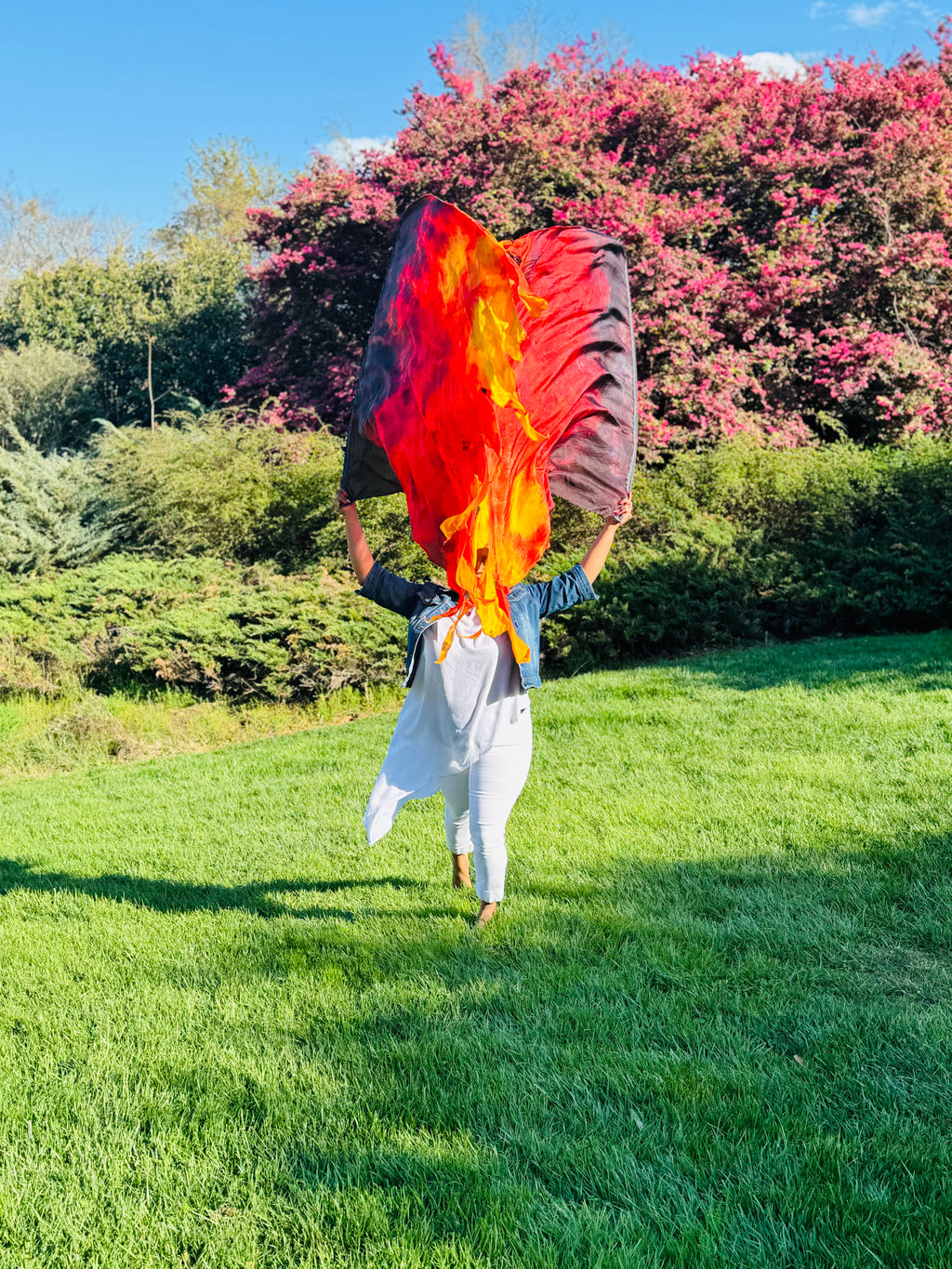 “ Consuming fire”