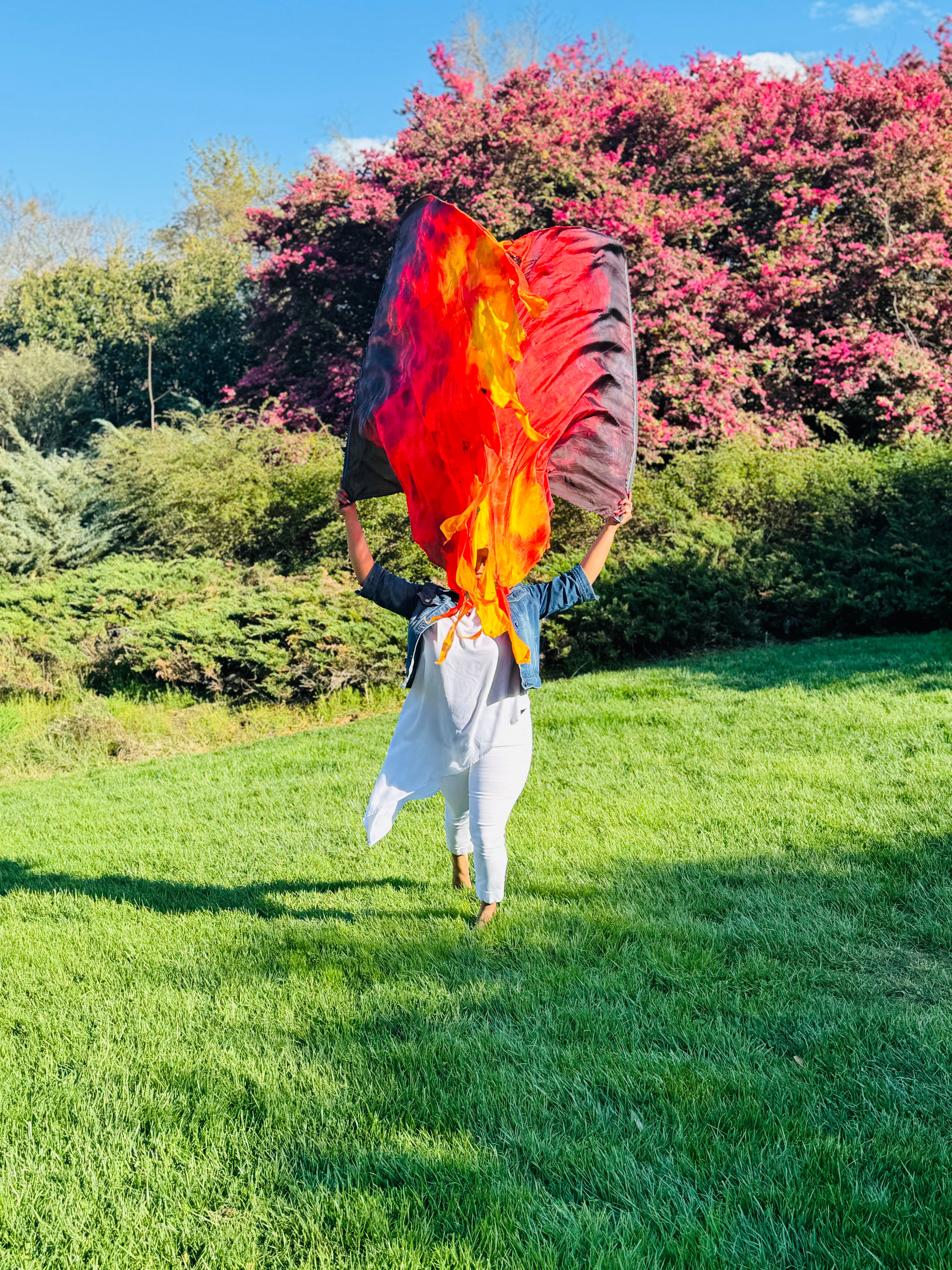 “ Consuming fire”